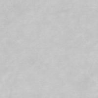 Орлеан 1 500х500