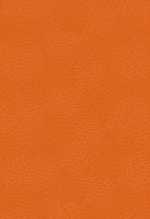 Фреско 6 400х275