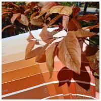 Симфония K409Тиккурила Симфония K409Тиккурила