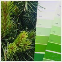 Симфония K383 Тиккурила Симфония K383 Тиккурила