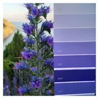 Симфония K347 Тиккурила Симфония K347 Тиккурила