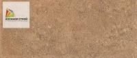 Подступенок бежевый темный Аллея 30Х9,6