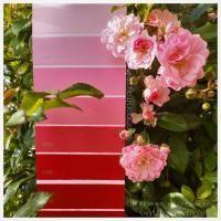 Симфония H330 Тиккурила Симфония H330 Тиккурила