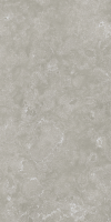 Вояджер Грэй 60x120