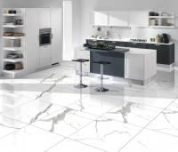 Керамогранит Primavera Salvatore 60x60 см (PR107)