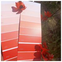 Симфония М310 Тиккурила Симфония М310 Тиккурила